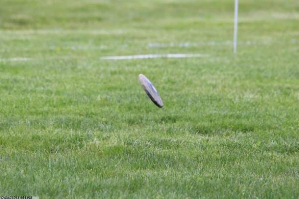 城市水上体育项目的多样性与创新