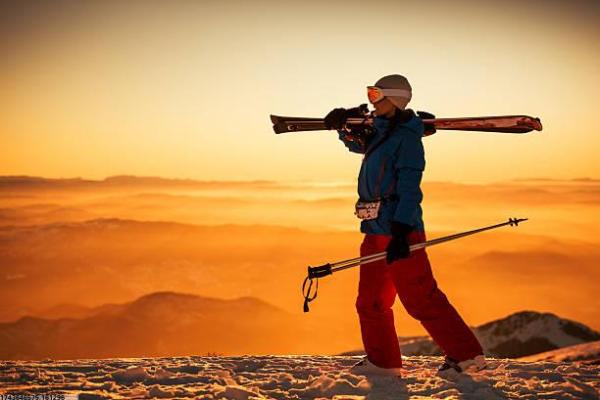 体育项目收入排行榜：哪些项目最赚钱？