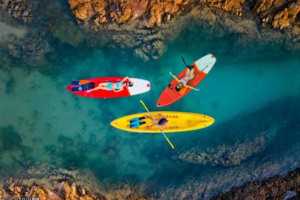 体育培训行业发展动力与瓶颈分析